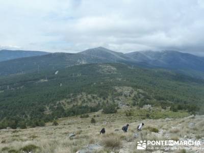 La Peñota y Peña del Arcipreste;asociacion senderismo madrid;senderismo en madrid grupos